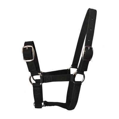 Glutter Horse Hagi Tauch full set of tuning horses woven horse head dragon D suits anti -grinding pure handmade reins equestrius