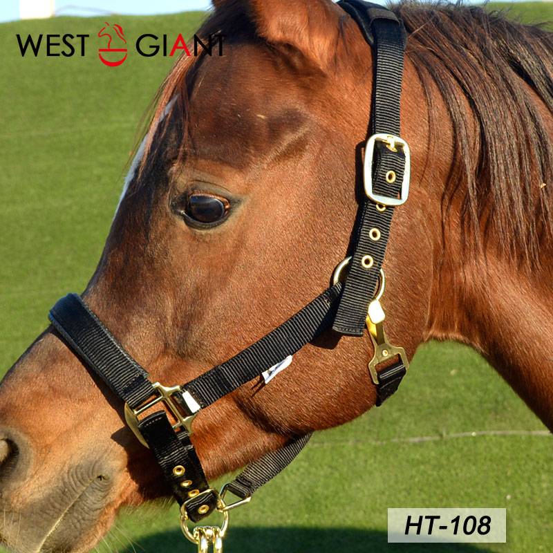 It's a good time to kill a horse
