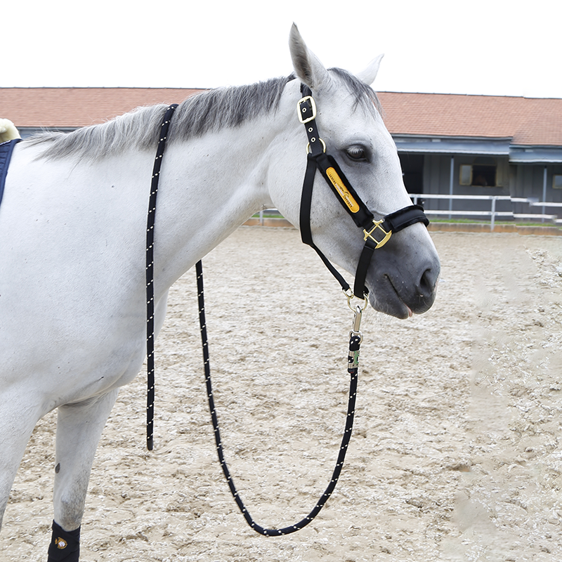 CavaSSION two -color horses, horses 3M riding knight riding horses equipped with Rocky Horse 8218098