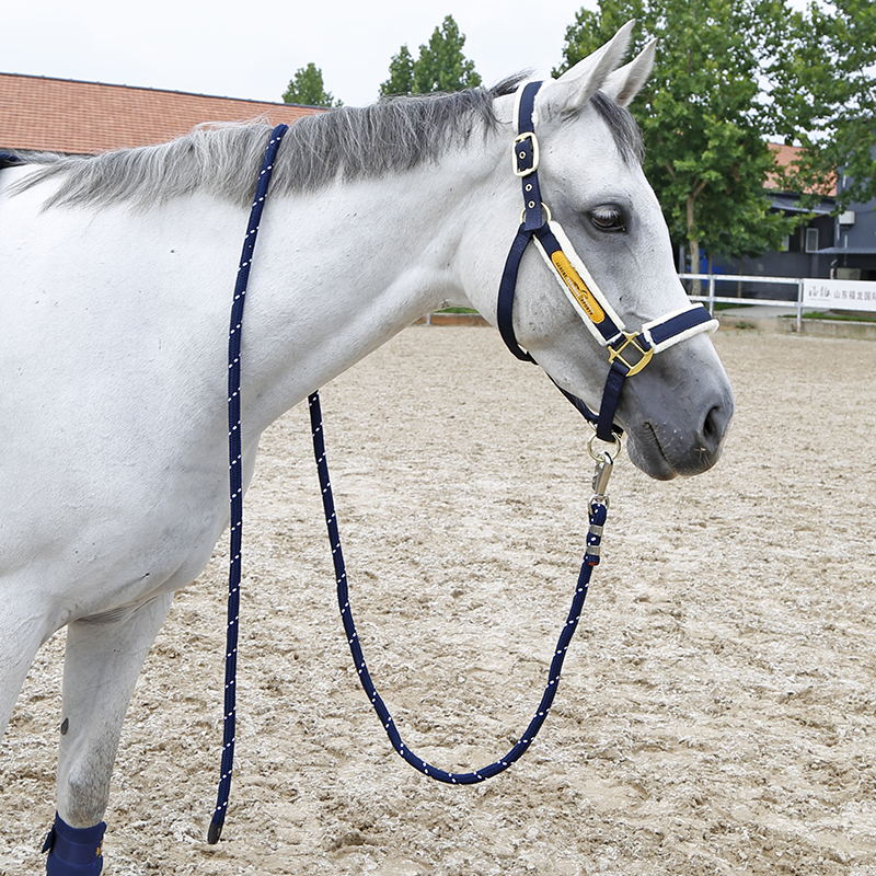 CavaSSION two -color horses, horses 3M riding knight riding horses equipped with Rocky Horse 8218098