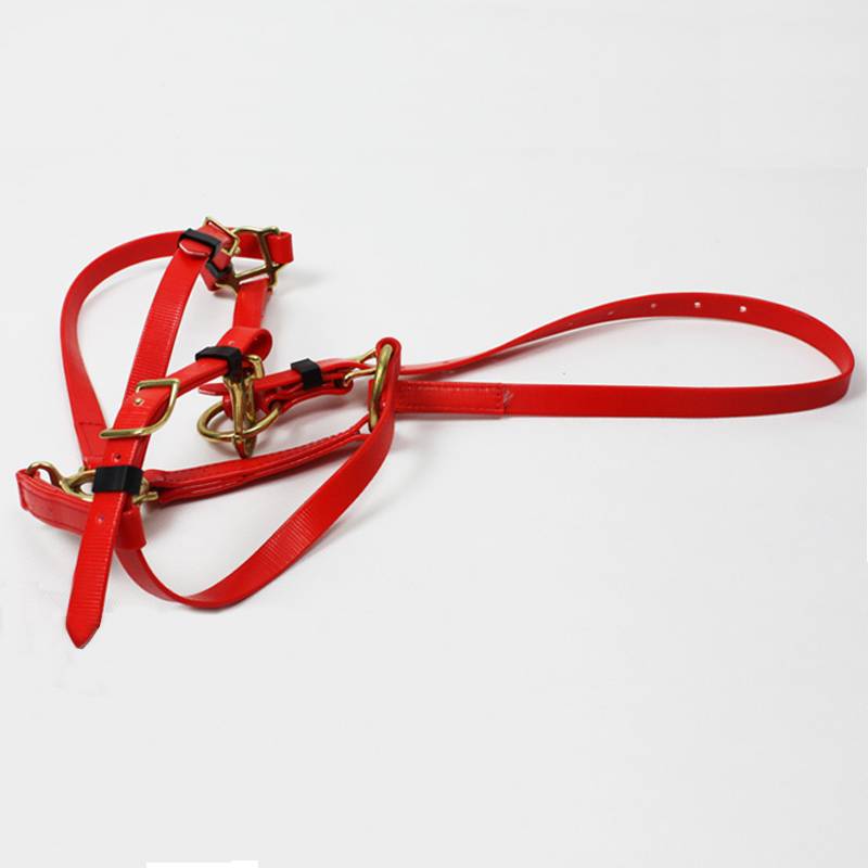 PVC cage red pommect horses horses horses horses are equipped with eight -foot dragon horse furniture products horse dragon set