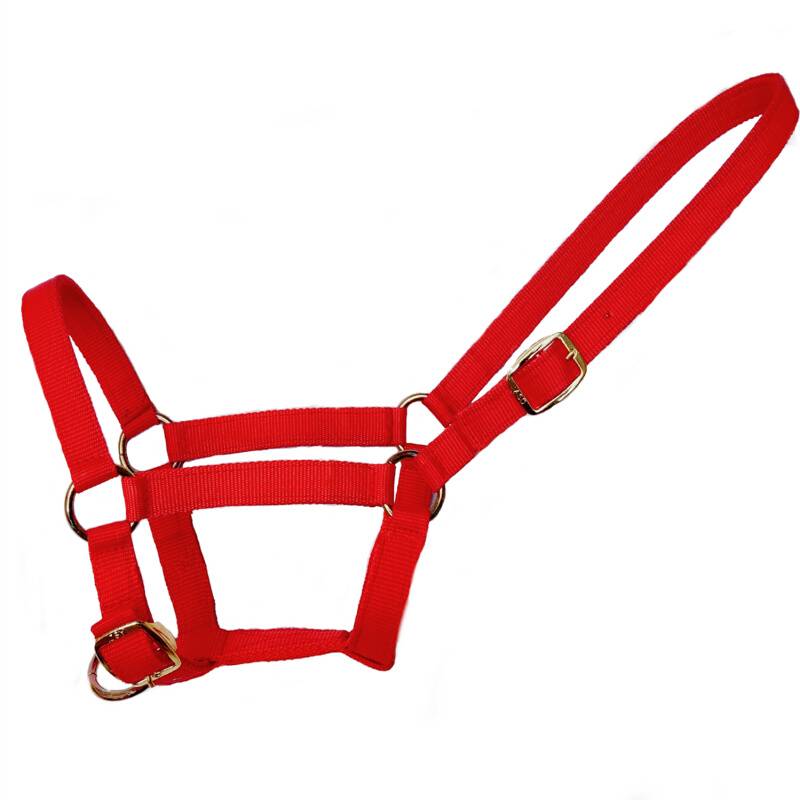 Crazy popularity and thickened double -layered Malama cage head horses, horses and horses, tie the horse to control horses*