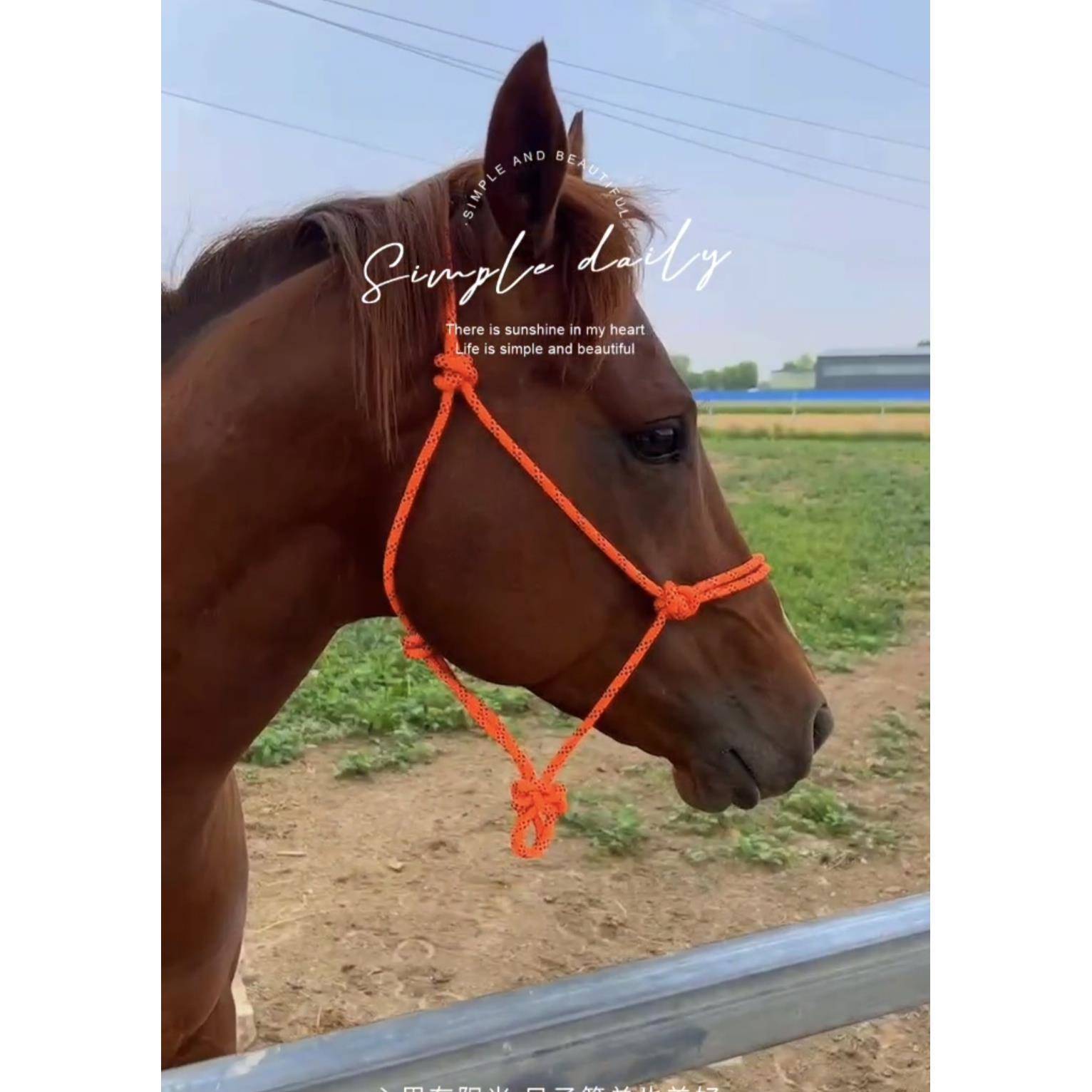 Nylon rope horses leading the leader of the head and hand -woven faucet