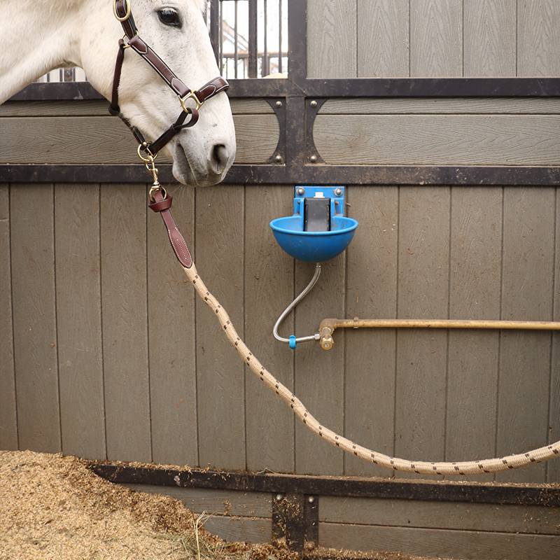 IKONIC horses rope, horsepower horse rope traction horses, horses, equestrian sports horse equipment