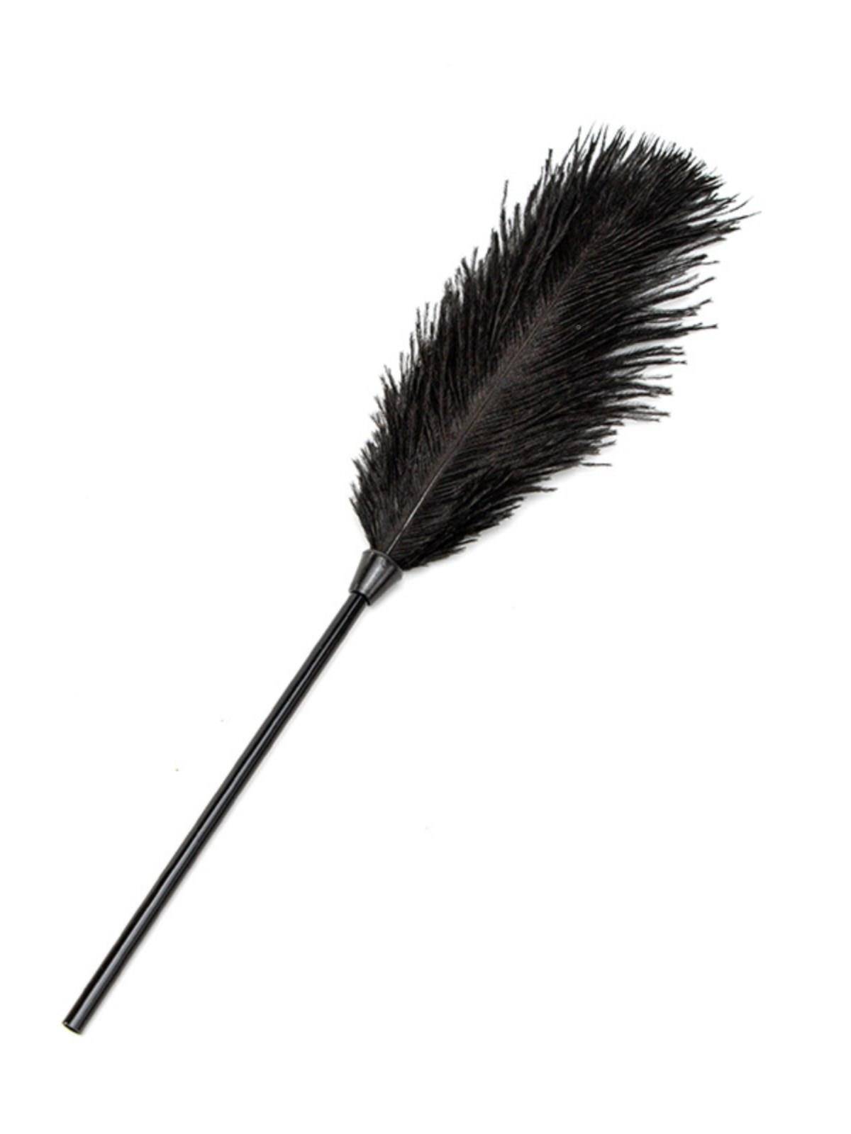 The tickling feather single -support ostrich flirting punish her boyfriend girlfriend toy?