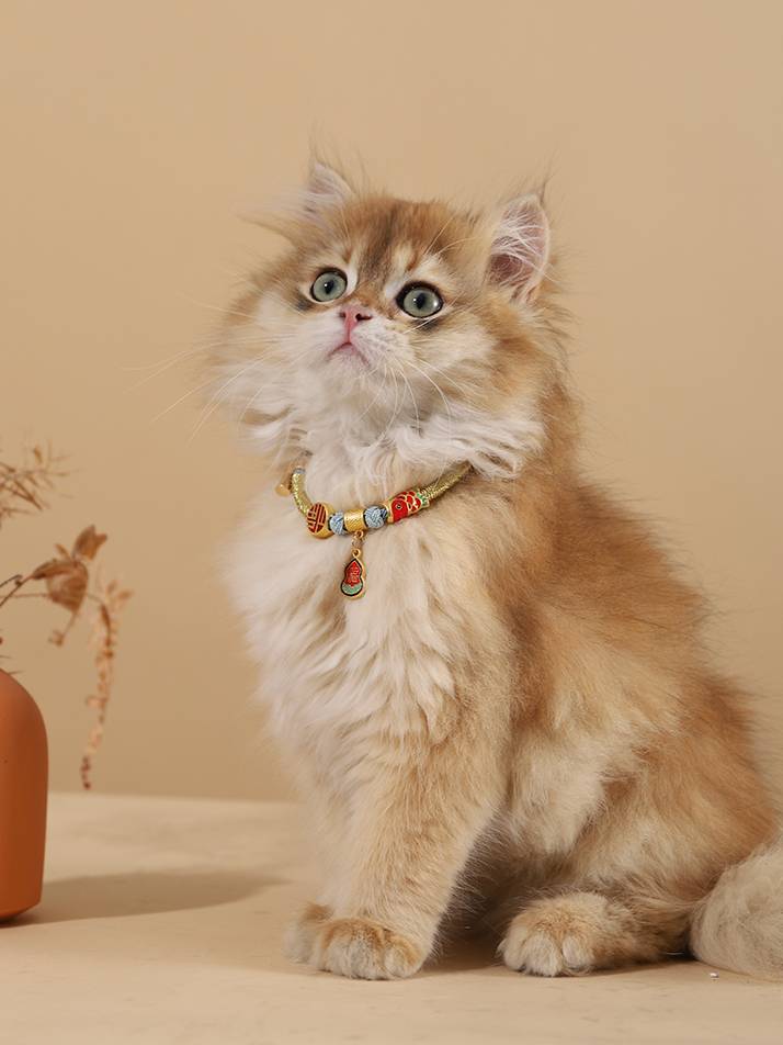Cat collar woven blessing brand decorative cat kitten accessories cute jewelry neck ring pet bib dog dog necklace