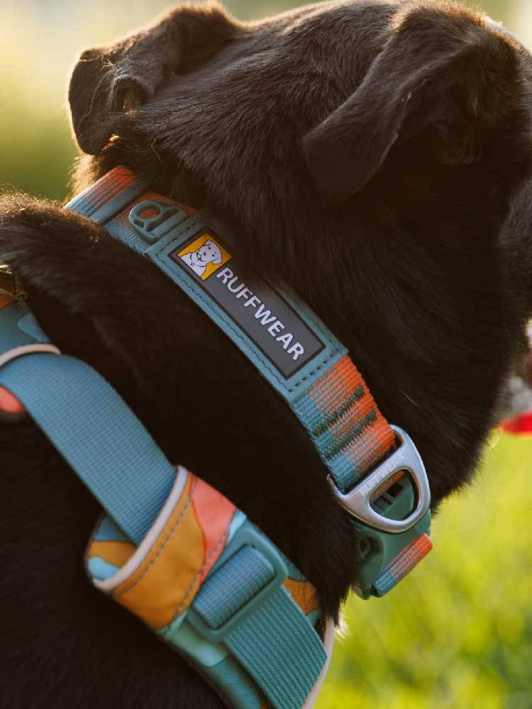 Rafe Will Fulang Dog collar Ruffwear universal dog neck ring dog neck not protect the neck