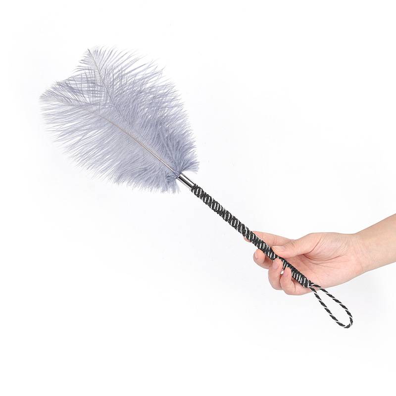 Gray feather stick