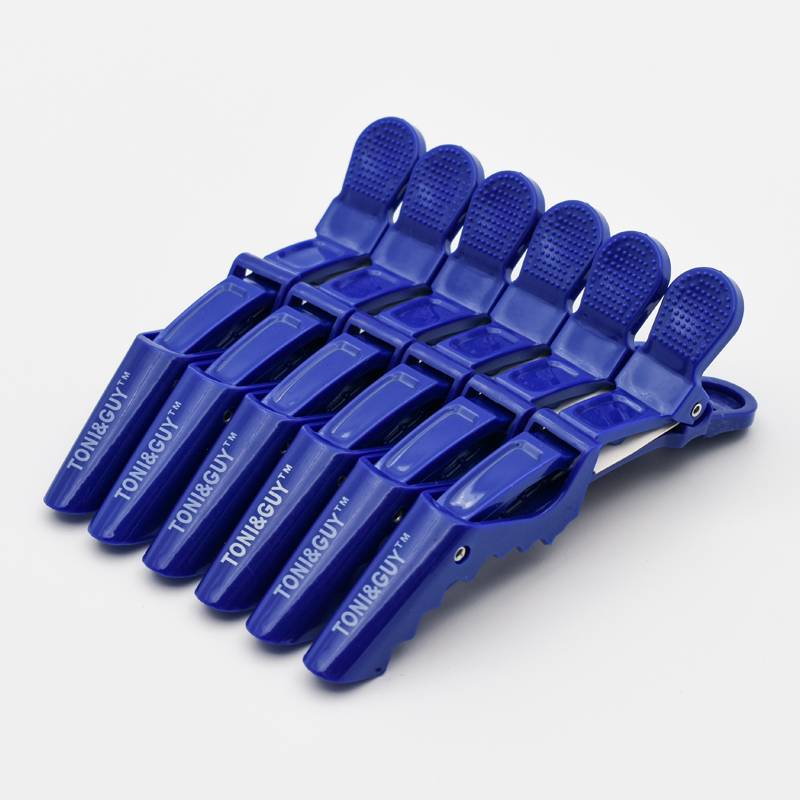 Alligator in blue five