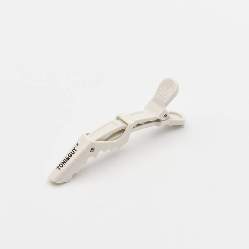 Alligator in white