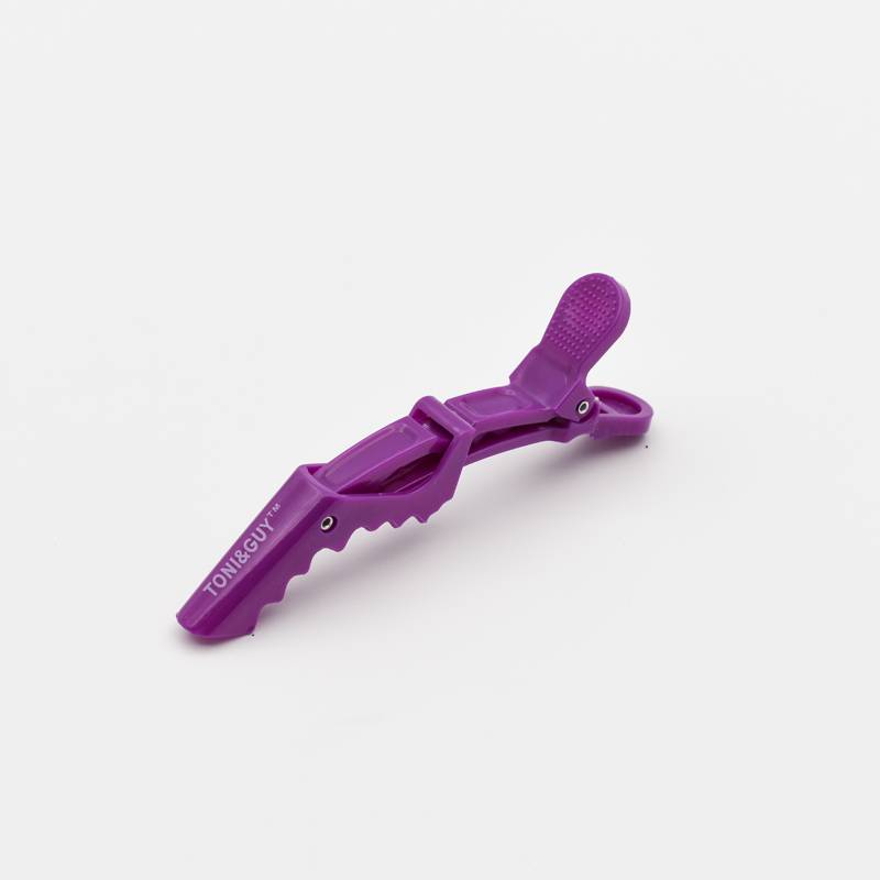 Crocodile with purple one