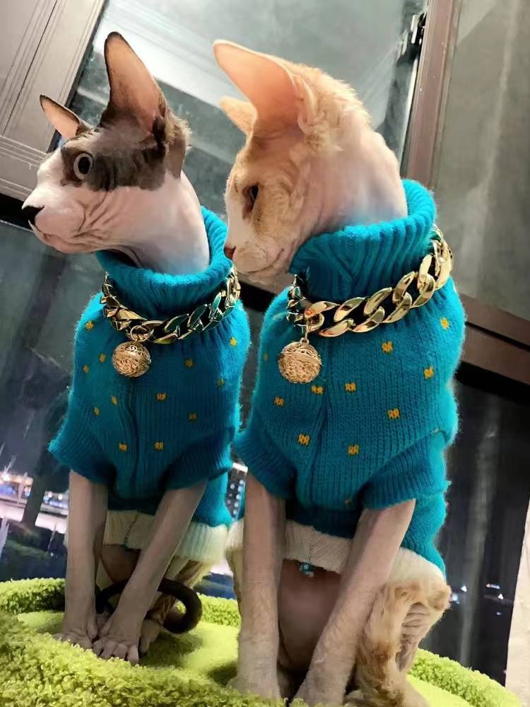 The super-dog pets collared the lablardo