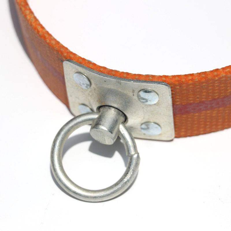wolf dog set pets with buckle dog collar dog chain dog circle training dog chain itnesses traction porous adjustment rope chain