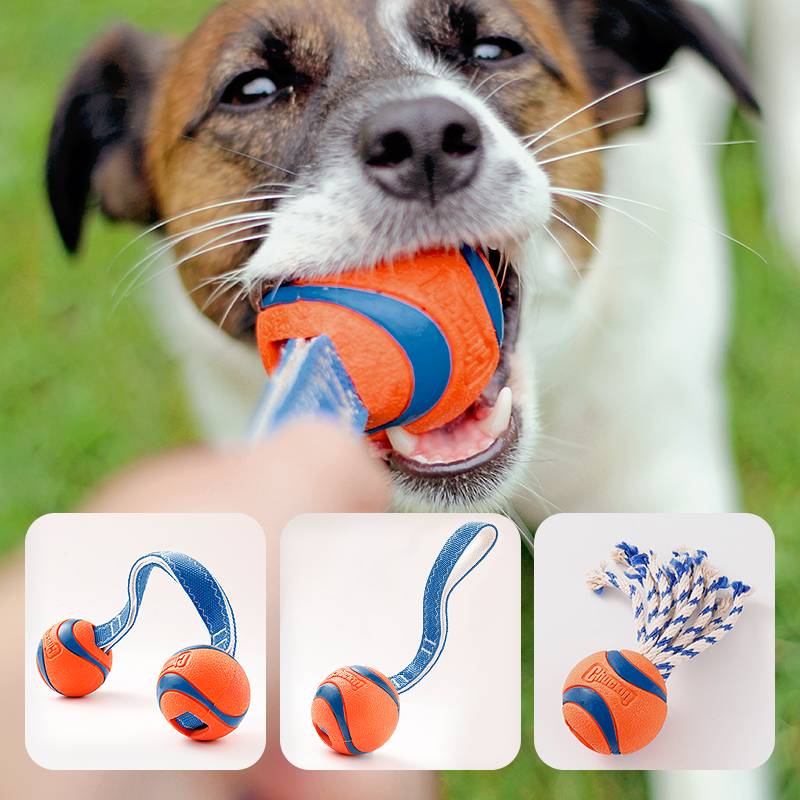 Petmate Pet Dog toy Mogo Sound Ball Puzzle Golden Mao Teddy dog supplies