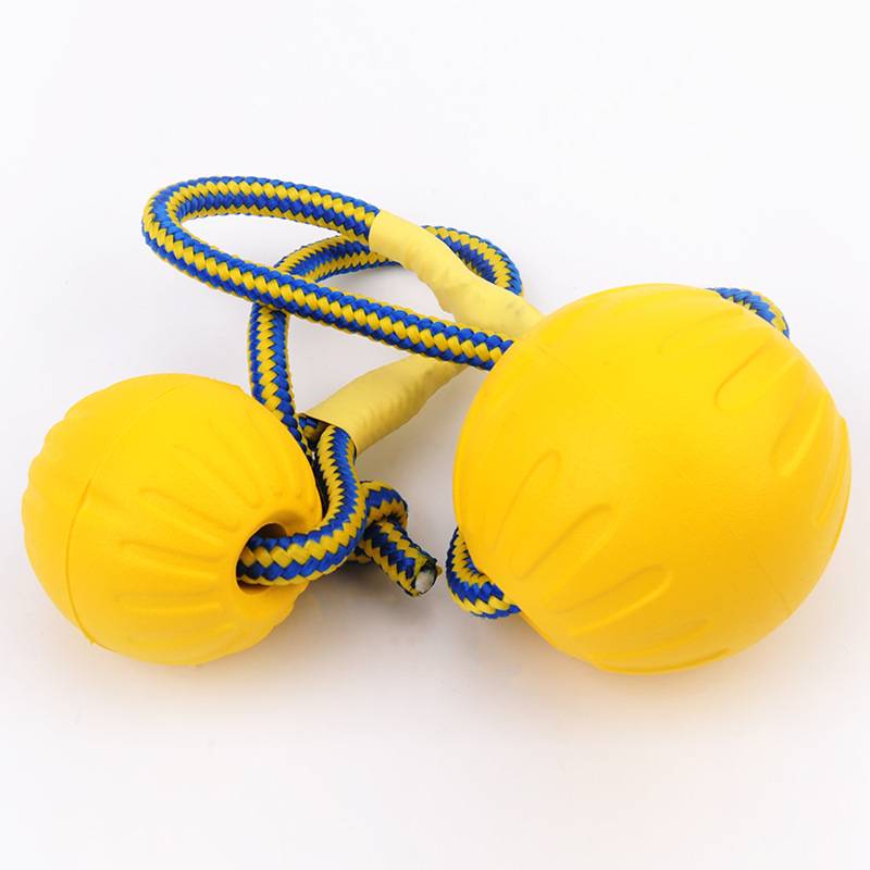Pet Interactive Toys Floating Ball Flying Deds Special Training Horse Interted Dogs and Dog Products Star Teacher Training