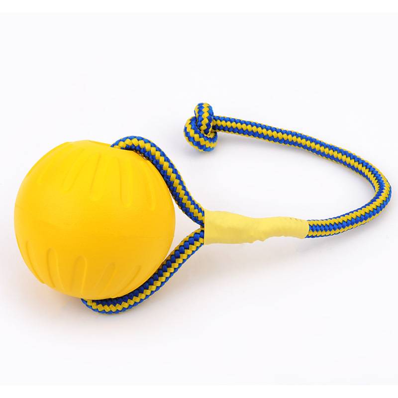 Pet Interactive Toys Floating Ball Flying Deds Special Training Horse Interted Dogs and Dog Products Star Teacher Training