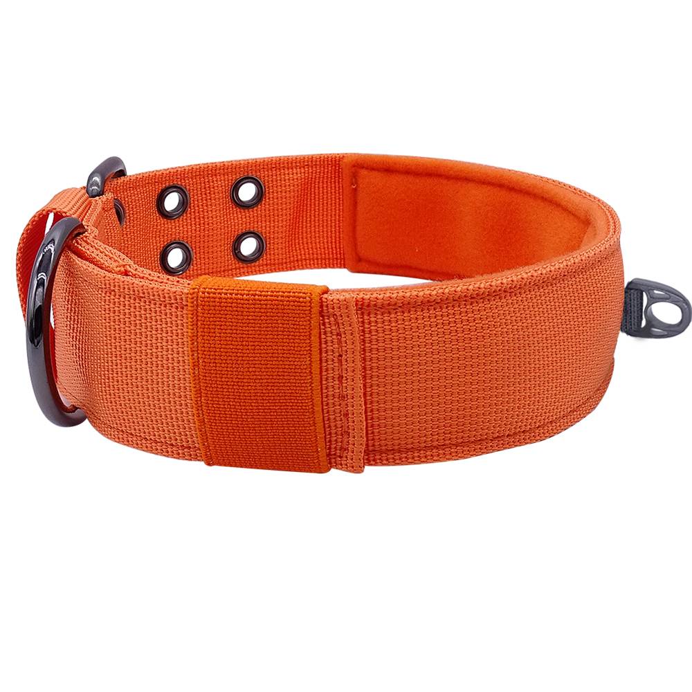 The super-concentrated big dog and dog collars