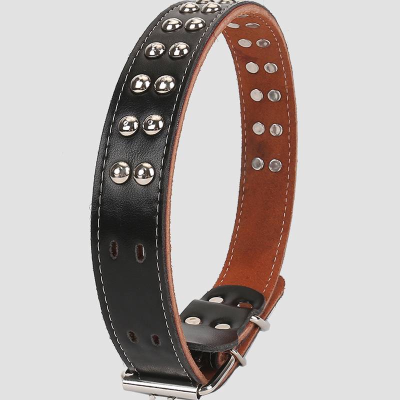Dog Neck Circles Pure Cowkar Golden Moso Samoya Dog Pet Bargain