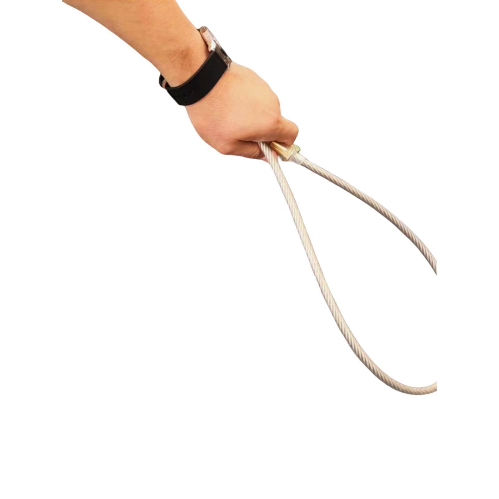 Germany quickly crackdown on whip steel filament dogs to fight rampant whip training dog rods, waist, waist, waist, waist, waist, waist, waist, waist, waist, waist, waist, waist, waist, waist, waist, waist, waist, waist, waist, waist, waist, waist, waist,