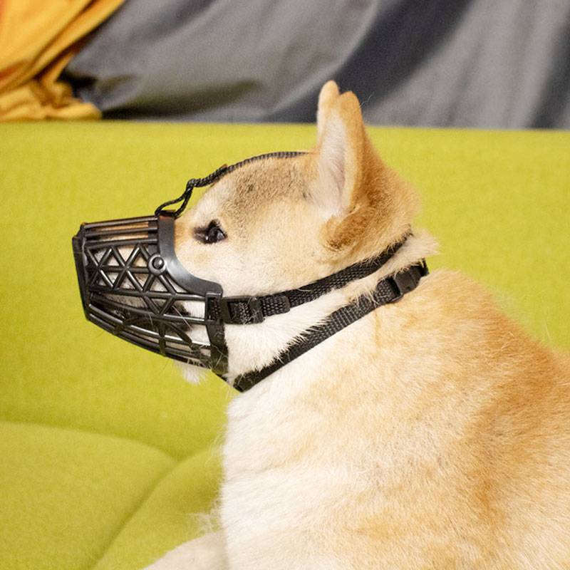 Dog's mouth case anti -bite and eat masks, large, medium -sized canine teddy products, dogs cage dog hood pet gold hair