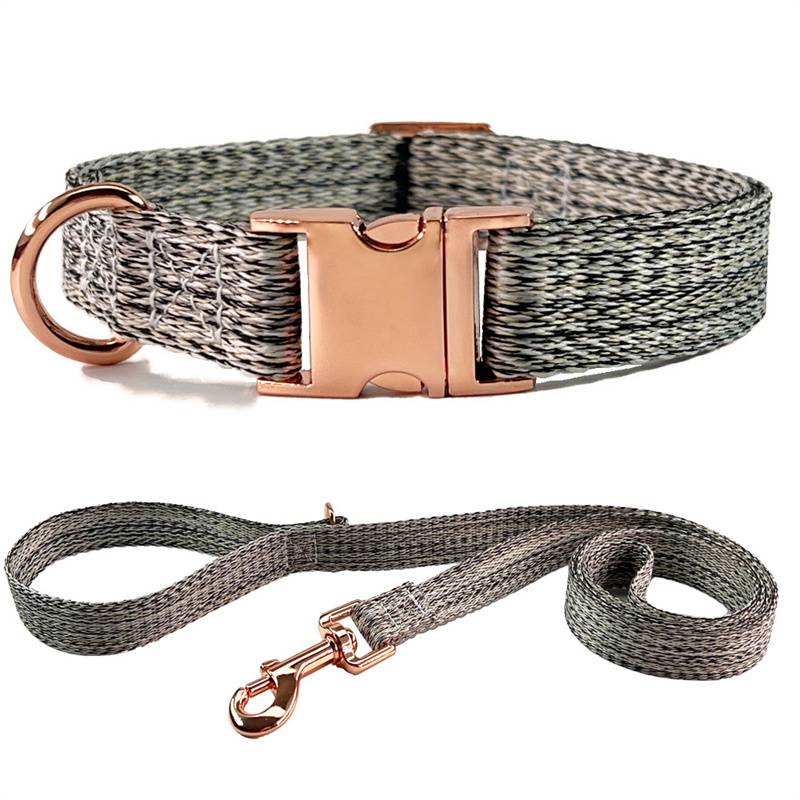 Pet dogs collar engraving to prevent loss of neck ring cat puppies neck ring, small teddy traction dog rope dog chain