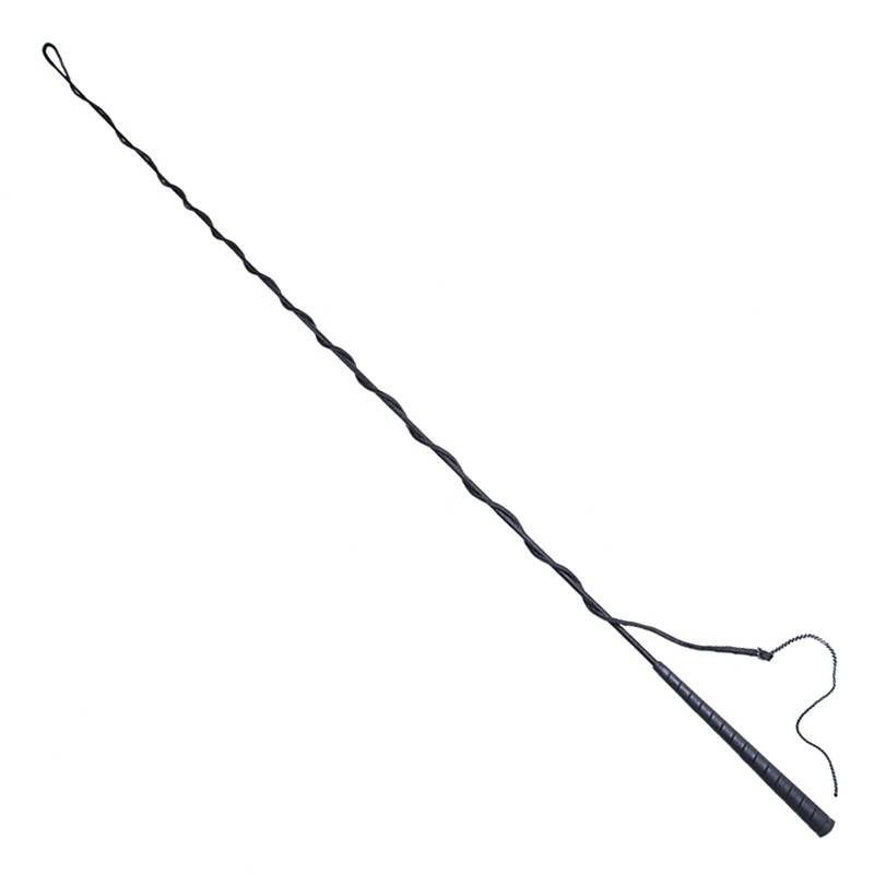 cavassion British whip tuning long whip tuning horsepower circle with long whip Lomch horses 8109017