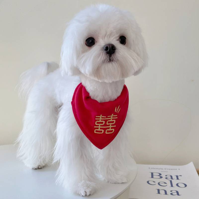 Pet water towels, wedding dogs decorative collar, pet bib, cat, married cat bib red wedding