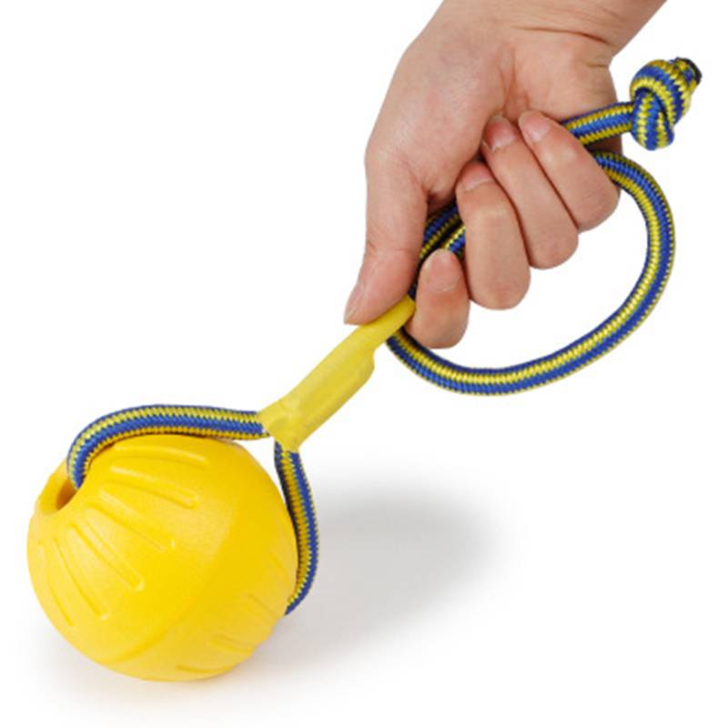 Dog training toy ball flying tray edge of golden -haired horses, large dogs, large dogs, biting interstellar strap ball pet supplies