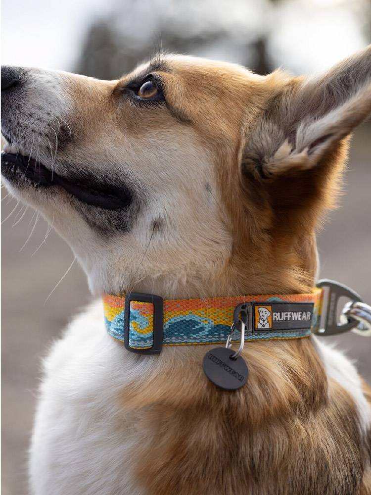 Laf Wil Celeg dog collar American Ruffwear neck circle large, medium -sized dog jewelry pet supplies