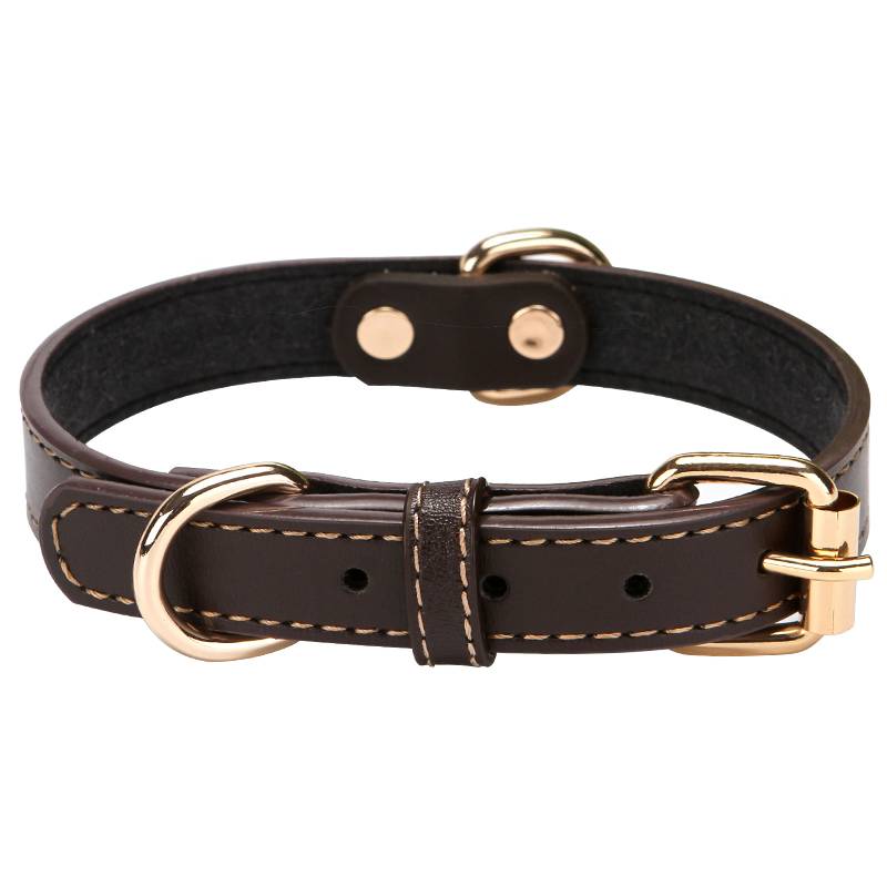 Dog Circle Circle Circle Circle Circle Small Dog Middle Dog Large Dog Great Double D Ring Dog Circle Tie Dog Law