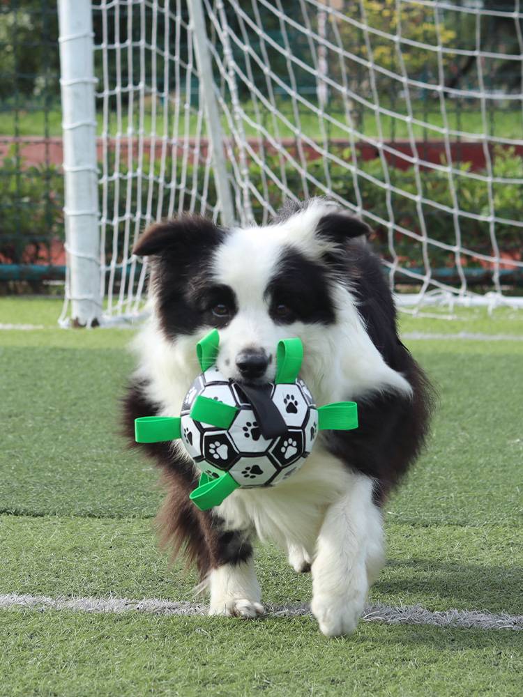 Dog Football toy Jieshou Emperor Interactive Plasma Black Pets and Pets Bring Rope Large Dog Rugby