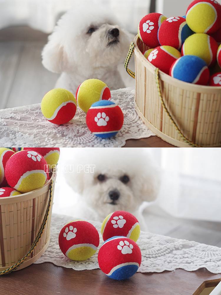 Pet dog toy, elastic ball, golden woolen edge Malabrador Corki -bear training tennis rubber ball