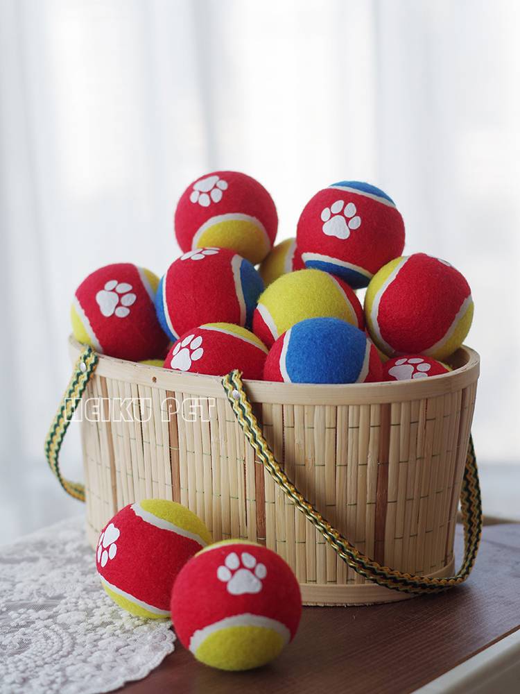Pet dog toy, elastic ball, golden woolen edge Malabrador Corki -bear training tennis rubber ball