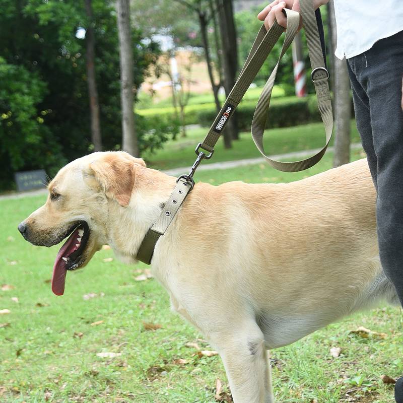 Dog neck ring large dog can adjust the neck circle to pull the golden fur golden hair dog nylon with dog collar traction rope