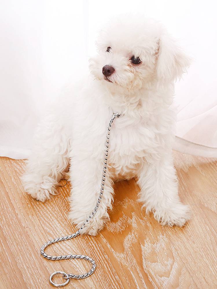 Pet P chain item ring seamless welding without clipping medium -sized dogs and snake chain dog race large dog P chain