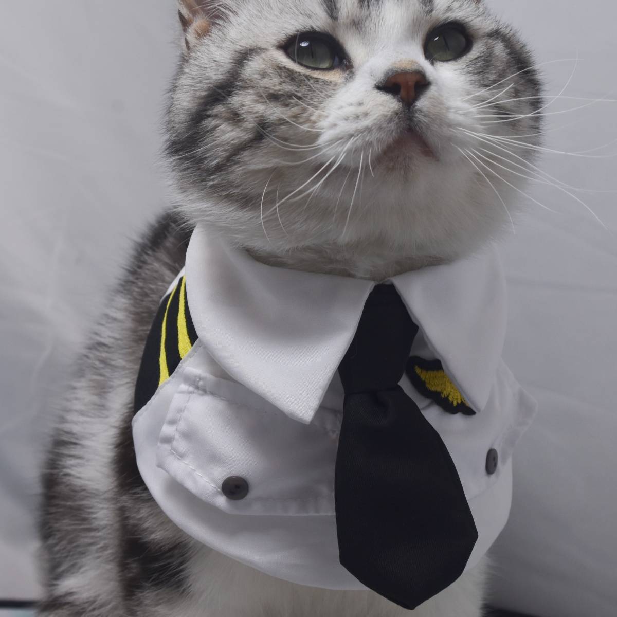 Pet Scarf Air Force Captain Airfs Uniform Large Dog Triangle Triangle Waterfall Shiba Inu collar bib
