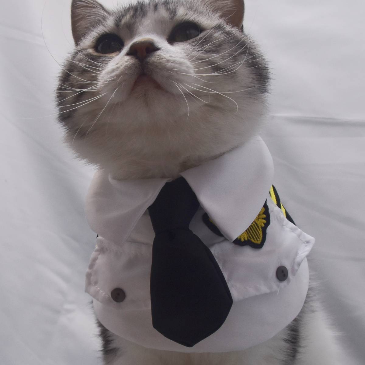 Pet Scarf Air Force Captain Airfs Uniform Large Dog Triangle Triangle Waterfall Shiba Inu collar bib