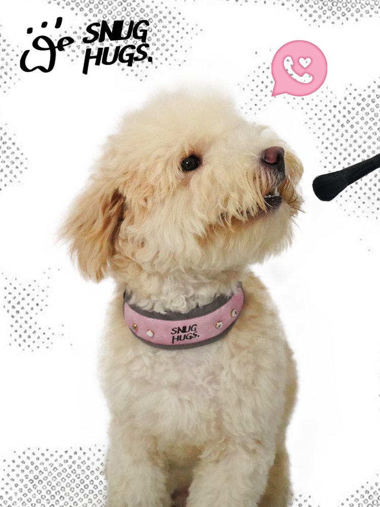 Snughugs dogs and dog collar pets special explosion -proof dog circle expensive dog puppies in the neck of large dog traction