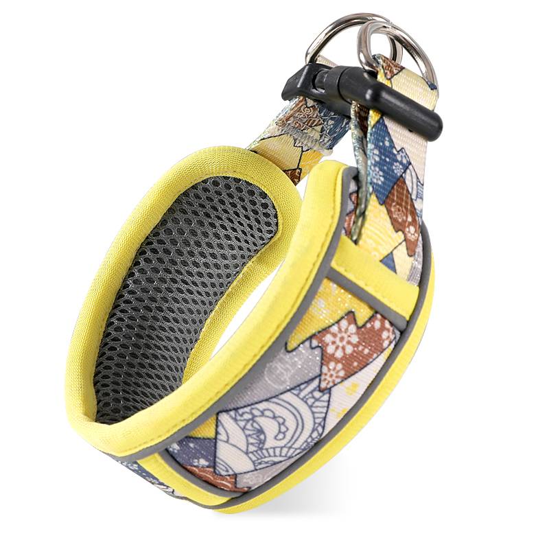 Dog Circle Circle Circle Thicked Dog's Neck Circles Small Boys Boys Case Golden Meto Golden Model Fighting Neck Circle Dog Drives Rope