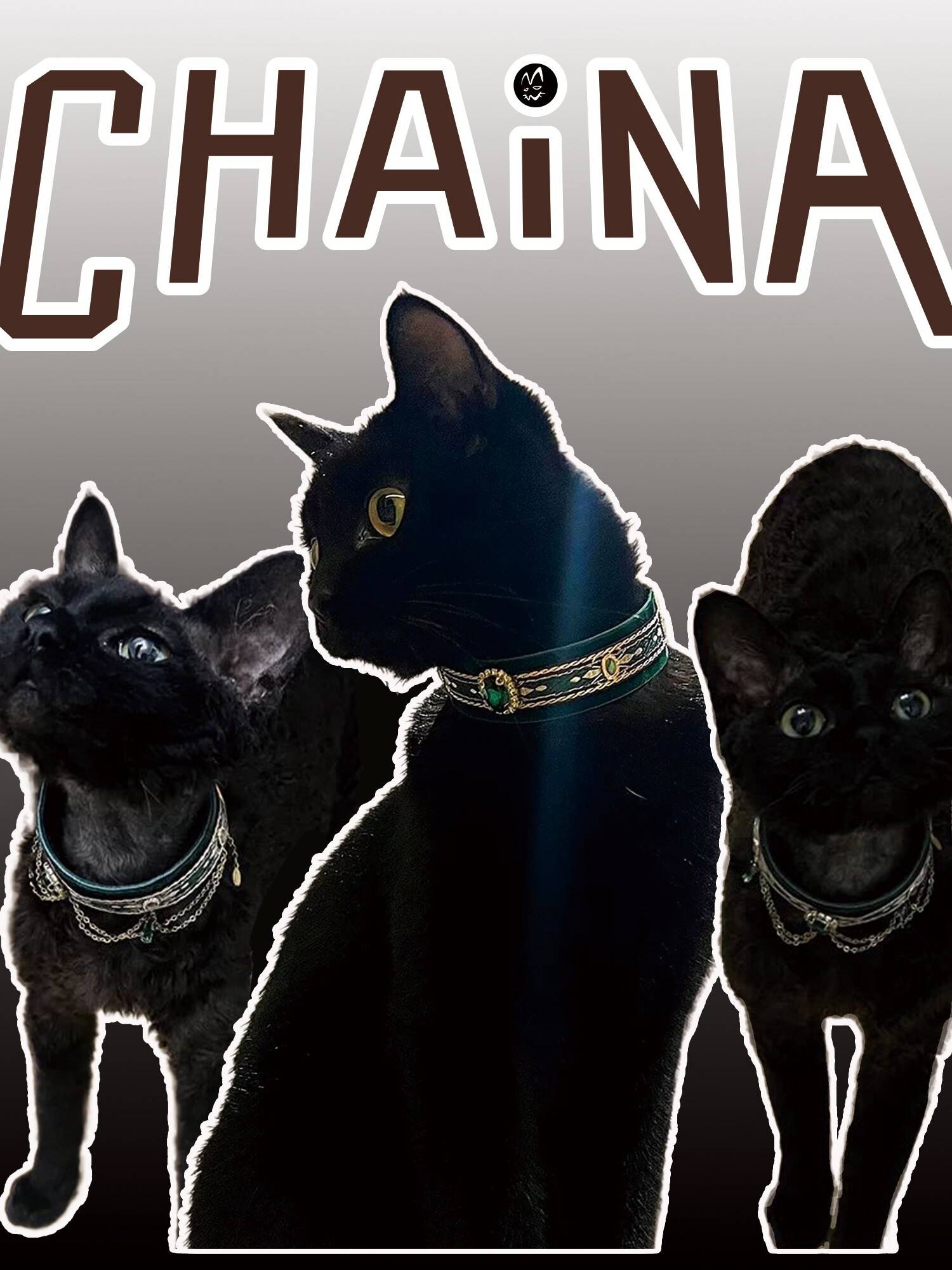 CNZZ cat collar dog pet supplies collar Benin cat, cat Abdibing necklace jewelry birthday photo