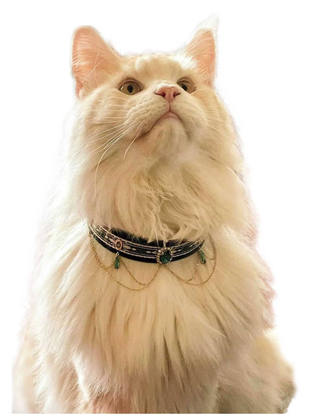 CNZZ cat collar dog pet supplies collar Benin cat, cat Abdibing necklace jewelry birthday photo