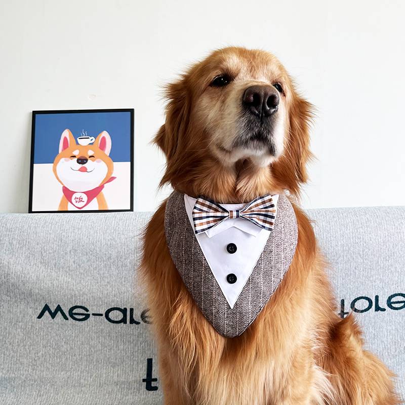 Pet suits triangular scarf dog bow tie, water scarf Golden Reta Samoyed medium large dog wedding photography dog scarf