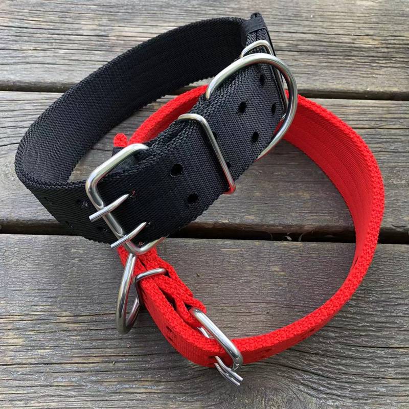 Mid -large dog walking dogs tie dog nylon neck horses, dogs, Venalcaslo golden hair thick durable dog neck cover
