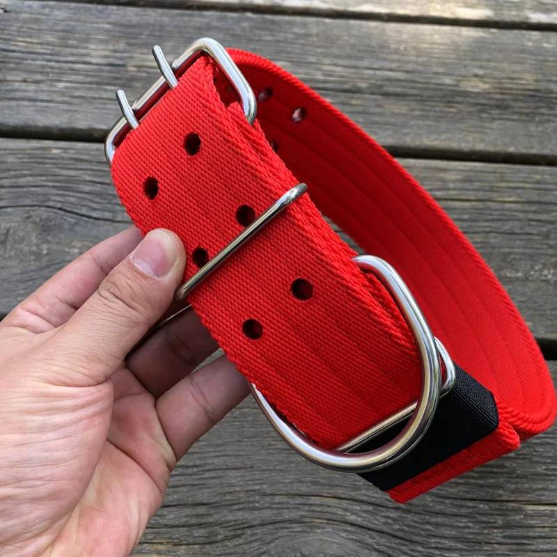 Mid -large dog walking dogs tie dog nylon neck horses, dogs, Venalcaslo golden hair thick durable dog neck cover