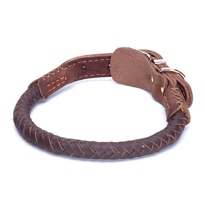 New product cowhide pet dog medium large horse dog collar can adjust the golden hair Caslo mammoth traction rope