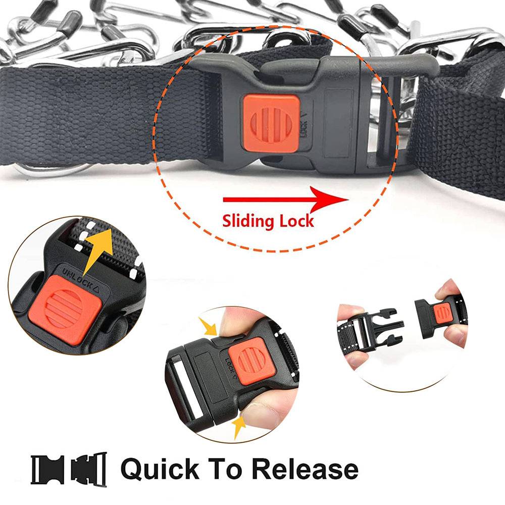 Dog-stimulating chain-to-blast dog collar pets