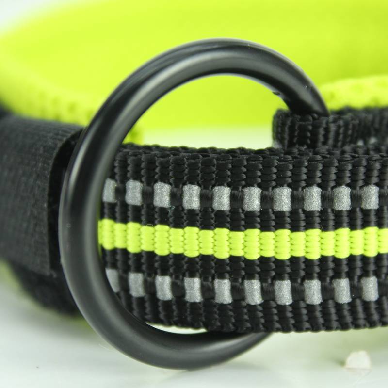 Truelove dogs collar big dog neck circle small dog defense neck ring teddy medium -sized dog golden retriever pet supplies