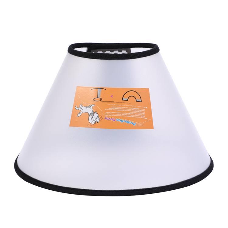 Elizabeth Cat Cat Catal Pet Medicine Neck Cat Cat Cat Bite and Grab skin diseases and deworming the neck