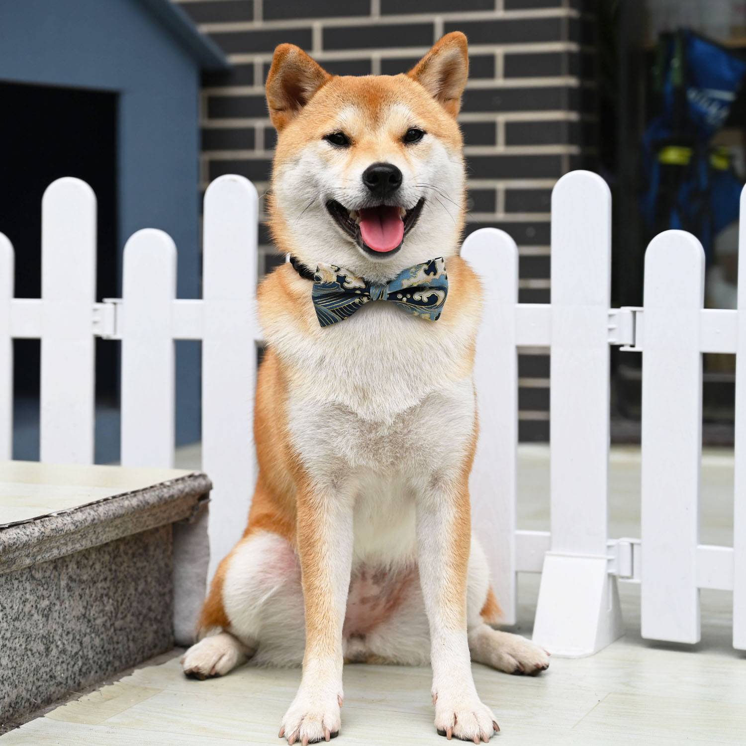 He Fengri style Japanese original handmade pet cat, dog, dogs, neck ring accessories, Shiba Inu bow tie