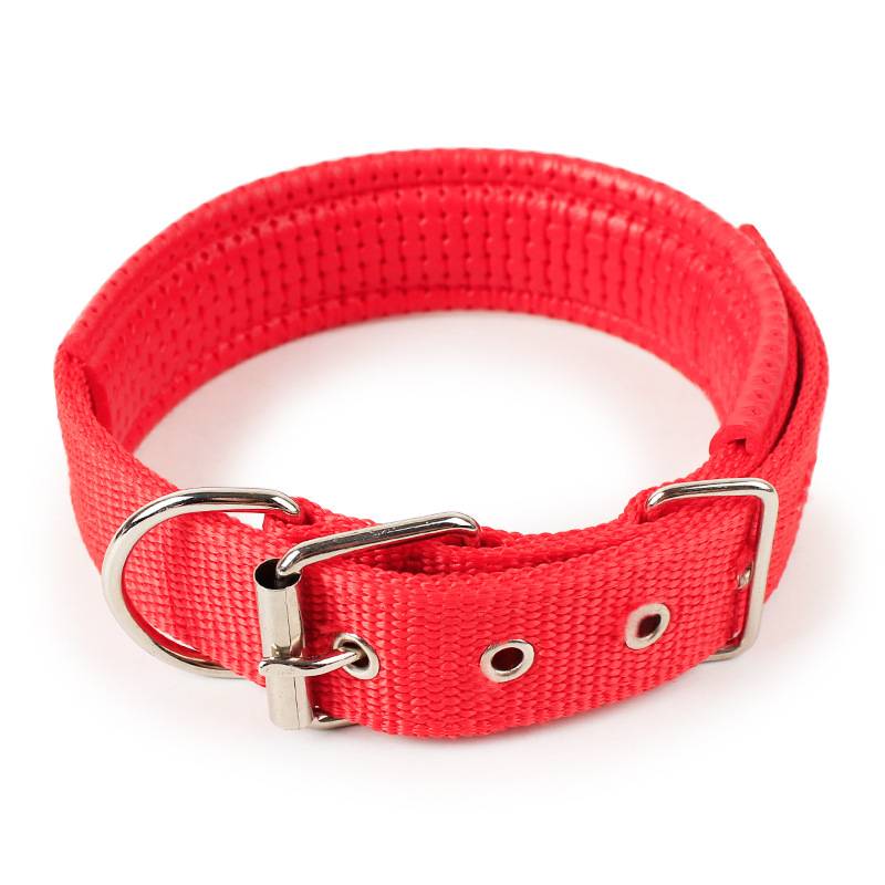 Dog collar neck ring neck, small medium -sized large dog puppy Hastel gold Maoscin Mao Teddy neck circle pet supplies